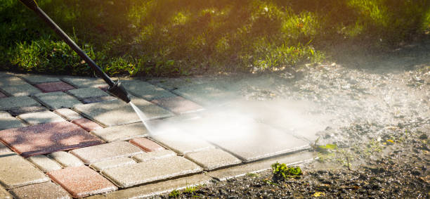 Best Sidewalk and Walkway Cleaning  in Bonne Terre, MO