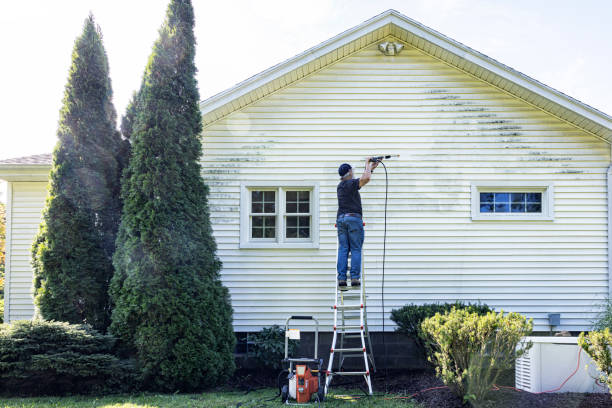 Best House Exterior Washing  in Bonne Terre, MO