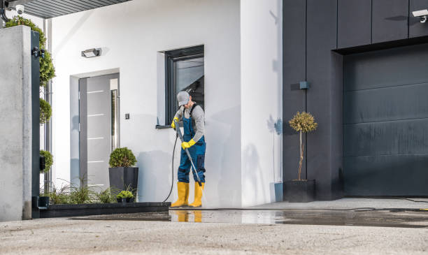Best Soft Washing  in Bonne Terre, MO